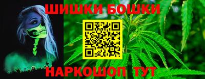 крисы Вязьма