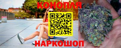 крисы Вязьма