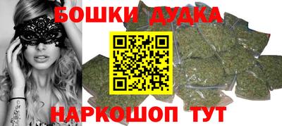 крисы Вязьма