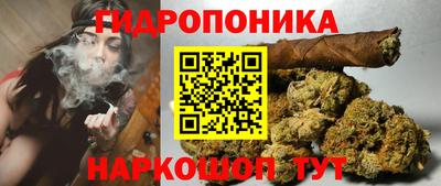 крисы Вязьма