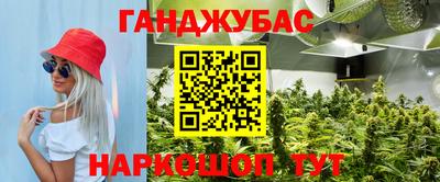 крисы Вязьма
