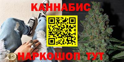 крисы Вязьма