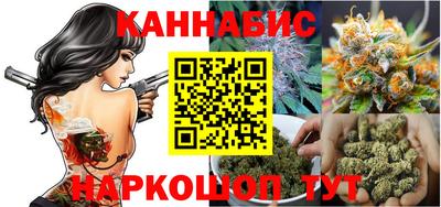 крисы Вязьма