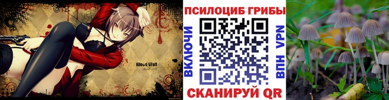 Псилоцибиновые грибы Cubensis продажа наркотиков Борзя