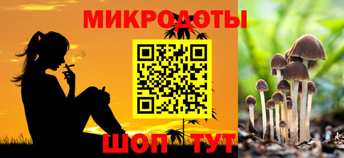 Псилоцибиновые грибы Psilocybe  Вход с VPN  Борзя 