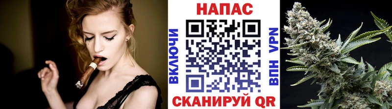 Марихуана план  Борзя 